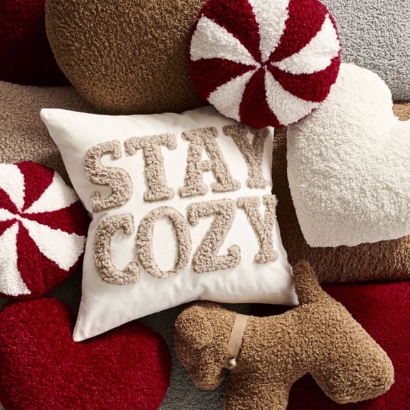 Pottery Barn Cozy Teddy Faux Fur Dog Pillow Couch Accent - Picture 3 of 4